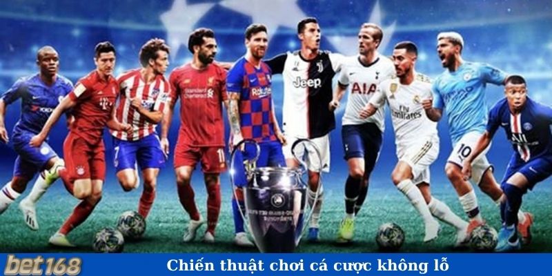 Chiến thuật chơi cá cược không lỗ