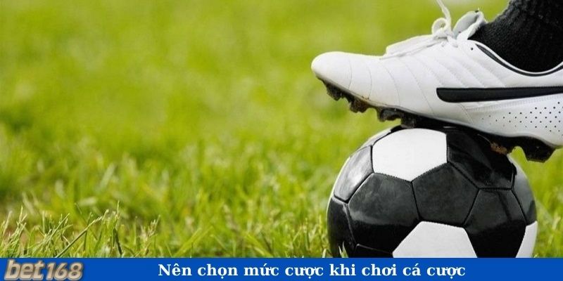 Nên chọn mức cược khi chơi cá cược